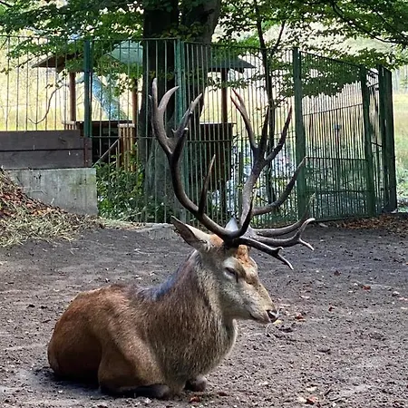 Ferienwohung Marina *