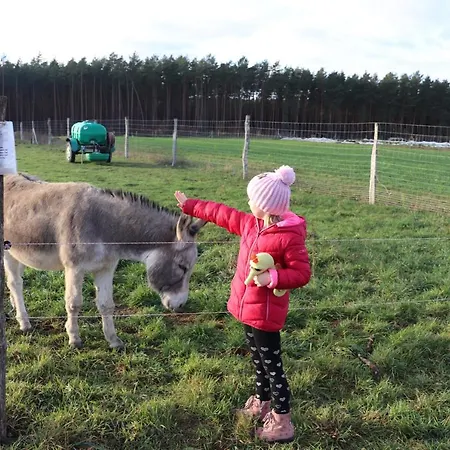 Ferienwohung Marina Grosswoltersdorf