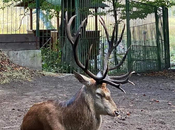 Ferienwohung Marina *