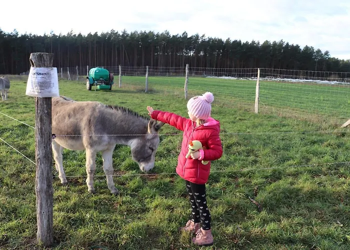 Ferienwohung Marina Grosswoltersdorf